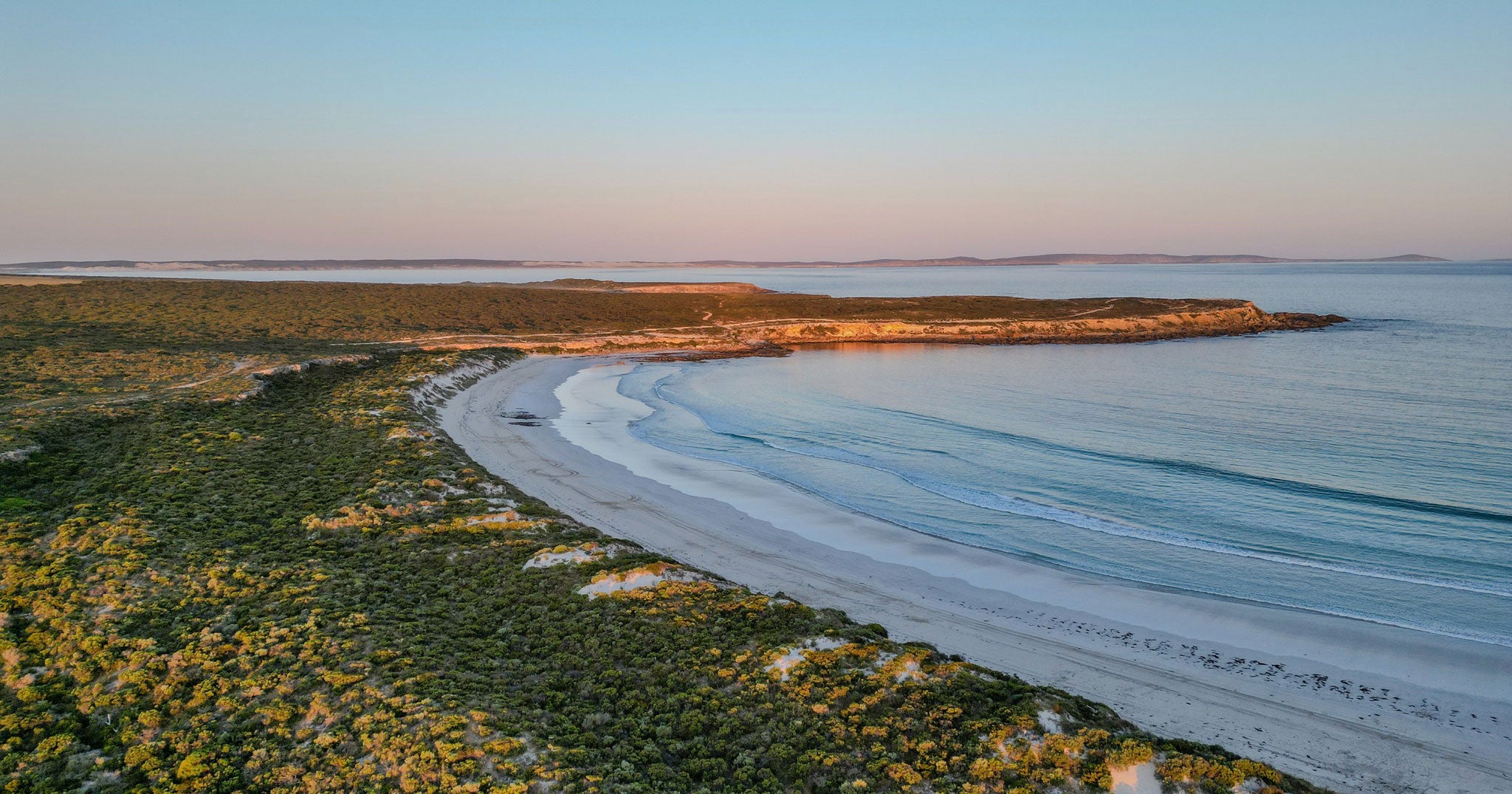 Aerial view of a pristine coastal landscape at golden hour, featuring a curving white sand beach lined with dense native shrubland and clear, calm blue waters gently lapping the shore.